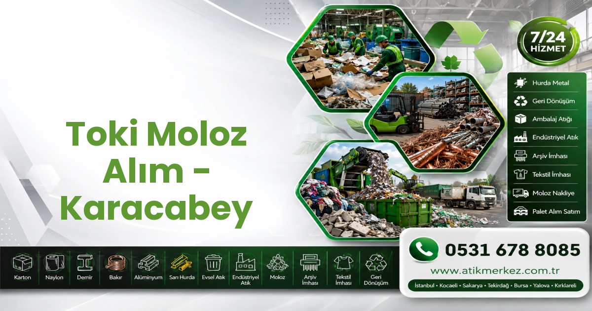 Toki Moloz Alım - Karacabey
